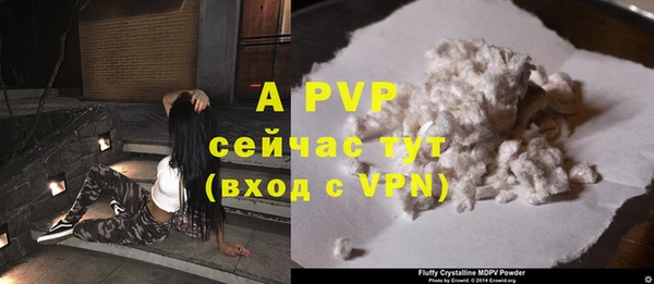 гидра Новокубанск