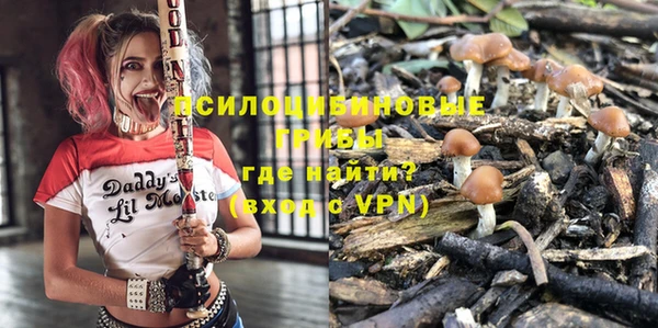 амф Балахна