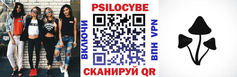 где найти наркотики Старица ссылка на мегу маркетплейс Галлюциногенные грибы Cubensis